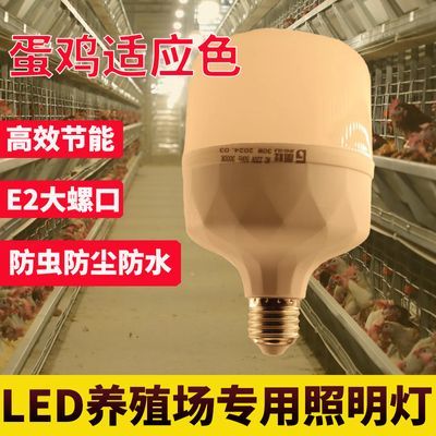 led养殖场暖光专用照明灯蛋鸡舍暖光灯防水养鸡场E27螺旋新