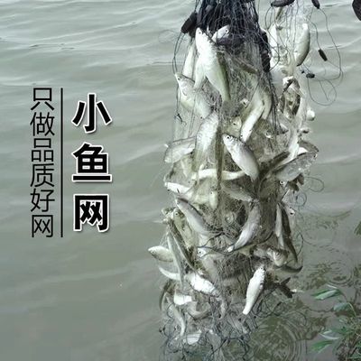 渔网三层沉网单层浮网白条沾鱼网鲫鱼网粘网鲢鱼挂子网丝网捕鱼网