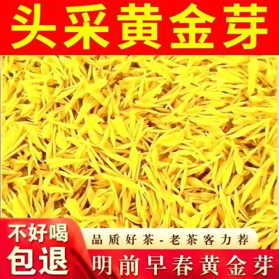 头采品质浓香四溢2024正宗黄金芽黄金牙新茶特级茶叶雨前高级散装