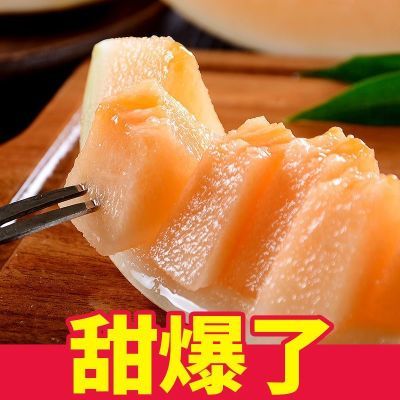 甘肃民勤蜜瓜沙漠甜瓜新鲜水果当季黄河香瓜金红宝整箱哈密瓜批发