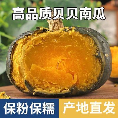 【不粉包赔】正宗贝贝南瓜板栗味老南瓜批发新鲜蔬菜孕妇宝宝辅食