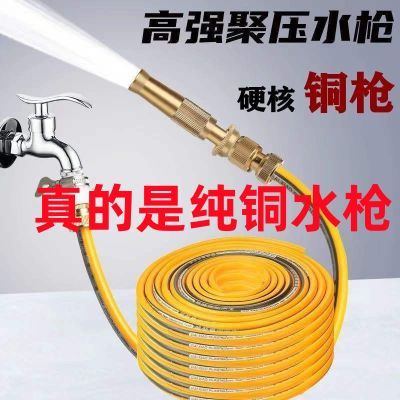 洗车水枪套装家用高压水枪水管浇花纯铜神器用品工具防冻防爆软管