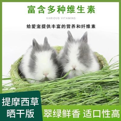 5斤晒干提摩西草荷兰猪龙猫豚鼠宠物兔饲料磨牙主食营养牧草健康