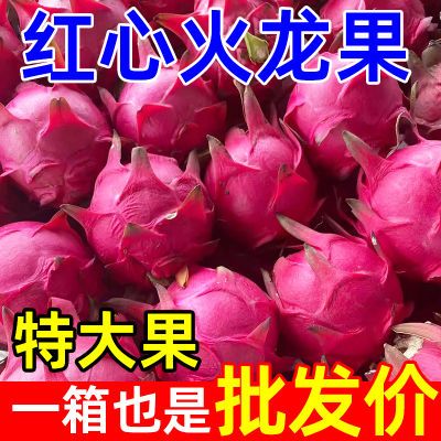 【特价】新鲜红心火龙果海南金都一号火龙果特大果孕妇水果批发价