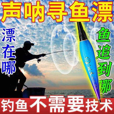 超声波浮漂【新款】野钓水库通用日夜两用夜光漂咬钩变色电子鱼漂