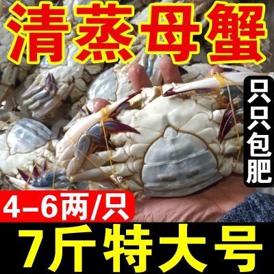 【高品质】野生梭子蟹鲜活新鲜冷冻超大海螃蟹白蟹公母蟹海鲜批发