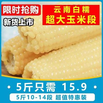 【5斤混装大段】云南白玉米段粗粮糯玉米即食玉米棒代餐非转基因