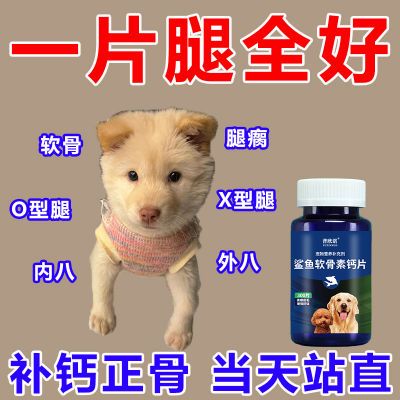 狗狗鲨鱼软骨素大骨钙片猫咪宠物必备健骨关节狗狗零食补钙营养