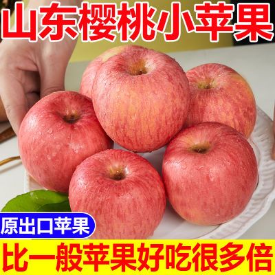 【爆甜】山东樱桃小苹果脆甜特级烟台苹果水果新鲜红富士整箱批发
