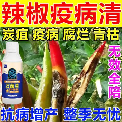 辣椒疫病杀菌剂微生物专用腐烂炭疽黄叶枯萎根腐灰霉软腐病病毒