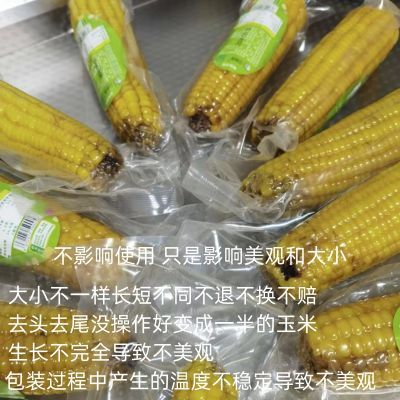 残次品黑糯玉米5斤装一整箱食用即食玉米真空包装黄糯玉米