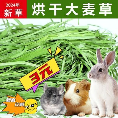 24年优质烘干大麦草段龙猫兔子荷兰猪豚鼠干草粮磨牙零食500g