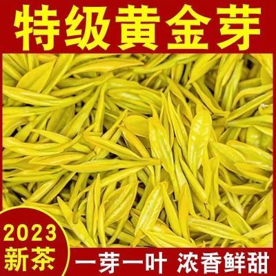 特级黄金芽茶叶绿茶2023新茶春茶高档嫩芽正宗奶香浓香型散装罐装