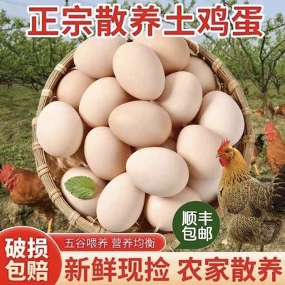 50枚/托/盒【2200±50g】九华山竹林散养土鸡蛋