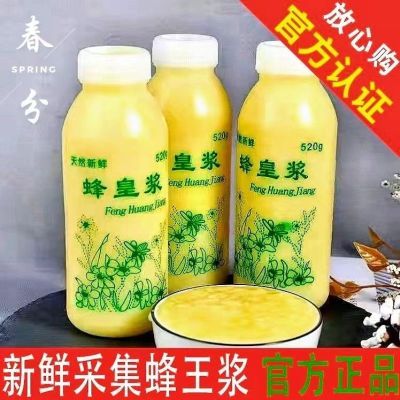 正宗蜂王浆特级蜂农直销野生天然纯正新鲜蜂皇浆特级原浆500g