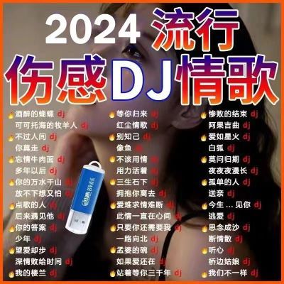 2024最新火爆流行伤感催泪DJ情歌车载u盘高音质完整版MP3/4优盘