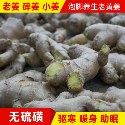 农家种植食用老姜优质断姜无硫小姜碎姜月子晒干生姜泡脚姜理疗姜