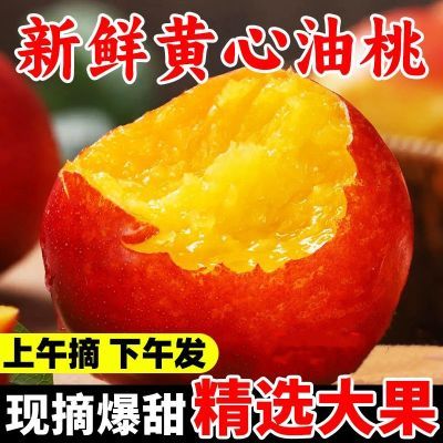 【脆甜多汁】正宗黄心油桃新鲜水果当季水蜜桃整箱脆桃子批发5斤