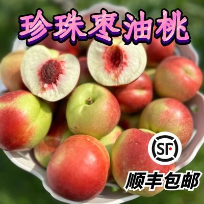 【顺丰】珍珠枣油桃枣味油桃新鲜应季现摘纯甜孕妇水果甜脆桃大果