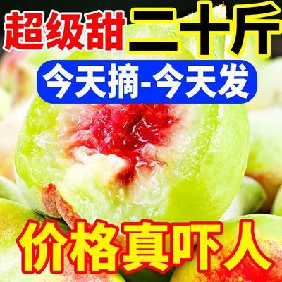 【批发10斤真甜】高山水蜜桃脆甜水果新鲜青桃脆桃非鹰嘴桃1/5斤