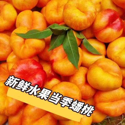 深州彩虹黄金油蟠桃当季时令新鲜水果一整箱果园直发无毛薄皮肉厚