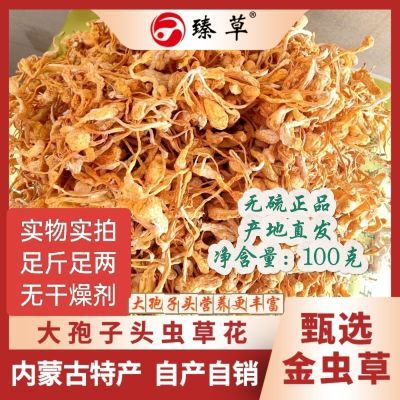 【无干燥剂净重】大孢子头虫草花新鲜金虫草煲汤无硫食用当季优质