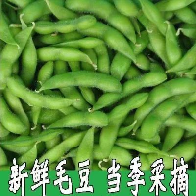 毛豆新鲜带壳现摘应季青豆豆荚鲜嫩农家豆角豆子当季蔬菜包邮新鲜