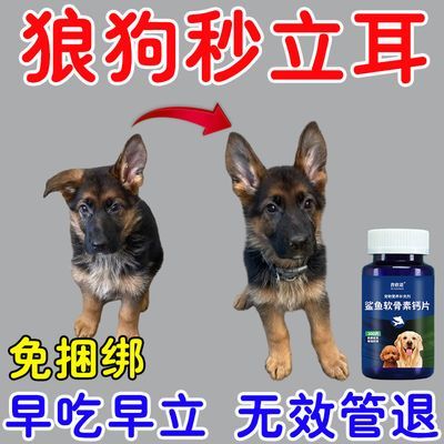 狗狗钙片补钙健骨宠物鲨鱼软骨素马犬钙片狼狗补钙大型犬立耳趴蹄