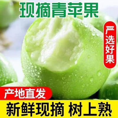 【现摘】青苹果水果新鲜脆甜酸苹果应季批发一整箱孕妇平果非富士