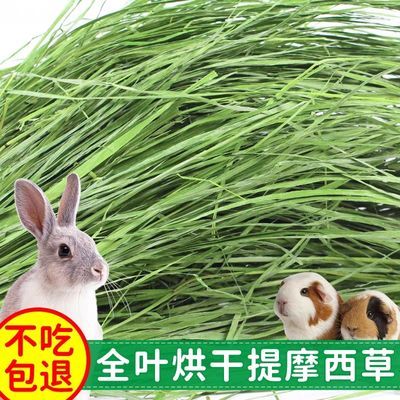 2024年摩西草烘干切段荷兰猪兔子食用烘干提摩西草碎晒干提摩