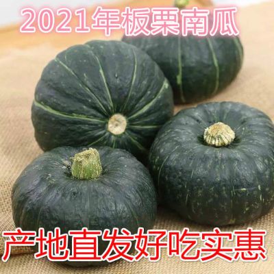 贝贝南瓜香甜粉糯小翻瓜老板栗新鲜干面孕妇宝宝辅食粗粮5 斤批发