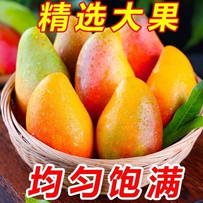 【现摘现发】广西贵妃芒红金龙芒彩芒青芒2/5/9斤新鲜水果