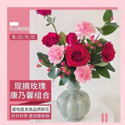 玫瑰康乃馨混搭生活鲜花水养云南基地直发送长辈花束组合一件批发