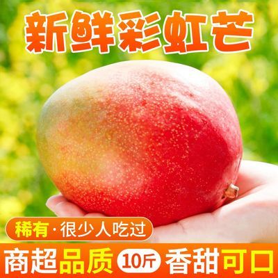 【精品】四川攀枝花彩虹芒果爱文芒果当季新鲜现摘整箱包邮直发