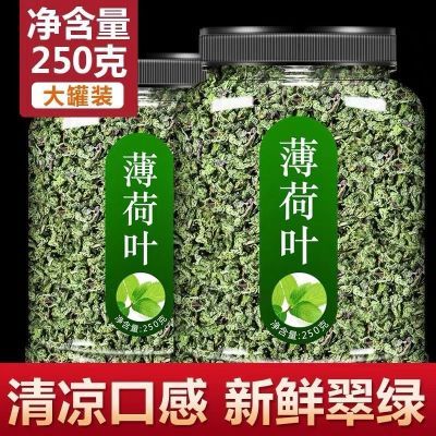 薄荷叶泡水新鲜薄荷茶薄荷叶干薄荷茶叶泡茶清新口气醒脑可搭胎菊