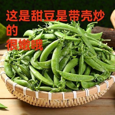 [云南现摘甜豆]脆嫩带壳炒甜豆即食农家当季甜豆[不是剥豆米哦]