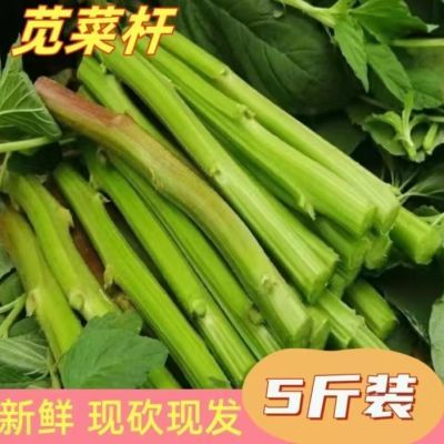 露天 野生新鲜苋菜梗 霉苋菜梗 臭豆腐卤原料 新鲜发货5斤