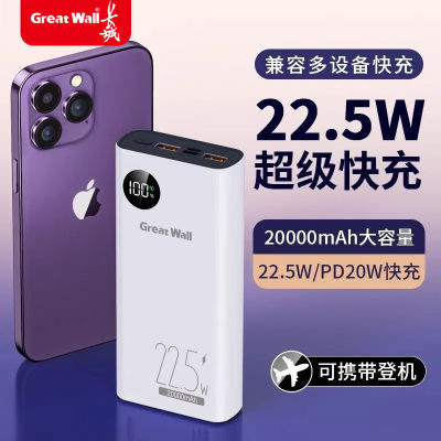 ڲǳ籦2000022.5W˫PD20ֻͨñЯƶԴ16.7Ԫ