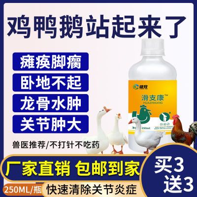 滑支康家禽药鸡鸭鹅关节疼痛消肿支原体滑液囊感染脚掌变形禽用