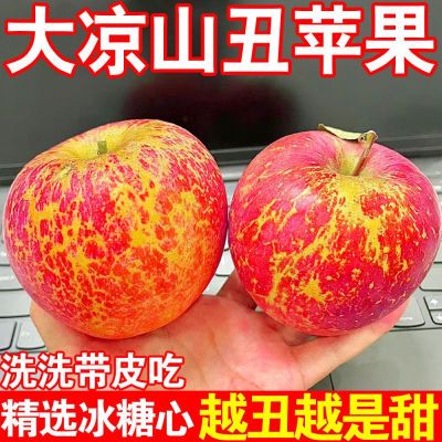 【冰糖心苹果】正宗大凉山丑苹果当季红富士新鲜苹果水果整箱直发