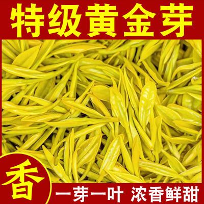 正宗【安吉特级黄金芽】2024新茶珍稀白茶浓香型绿茶叶罐装袋装