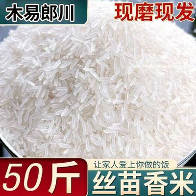 现磨现发丝苗米长粒香大米猫牙米50斤便宜批发炒饭专用煲仔饭蒸饭