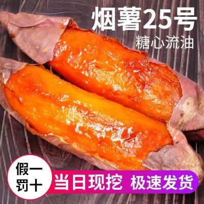 山东烟署25号蜜薯新鲜地瓜2-10斤沙地糖心红薯板栗番薯