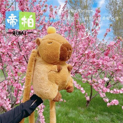 ڲ۰سɰë˫米Ƥͨˮ˫19.8Ԫ