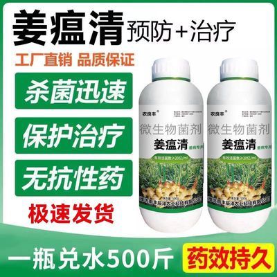 正品大姜姜专用药姜瘟清专用农药黄叶姜瘟烂脖子姜瘟病专用药防治