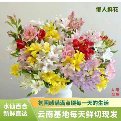 六出花水仙百合家庭混搭鲜花居家室内办公新鲜插花基地直供花期长