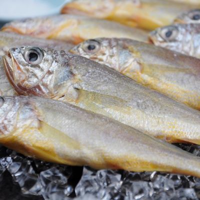 【正宗舟山小黄鱼】野生新鲜黄花鱼刺少肉多蒜瓣肉烧烤 顺丰冷冻