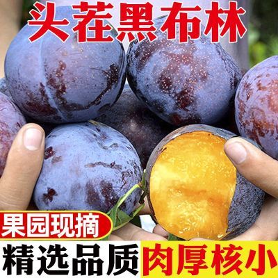 黑布林李子酸甜可口新鲜水果应季当季现摘非蜂糖李整箱包邮【7天内发货】