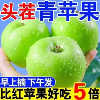 新鲜水果现摘青苹果脆甜酸苹果应季批发一整箱孕妇平果非红富士