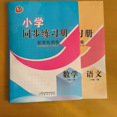 2024五四制小学二年级上册语文数学同步练习册配套检测卷